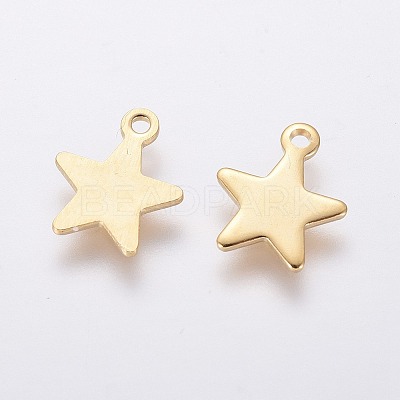 304 Stainless Steel Charms LS-X-STAS-L234-069G-1
