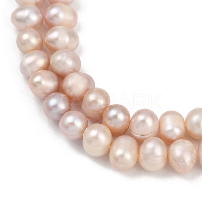 Natural Cultured Freshwater Pearl Beads Strands PEAR-I007-07X-06E-1