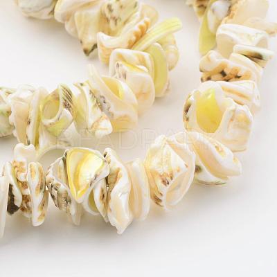 Natural Shell Bead Strands BSHE-P010-02-1
