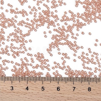 MIYUKI Round Rocailles Beads X-SEED-G009-RR0429-1