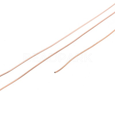 10M 304 Stainless Steel Wire TWIR-N005-0.3mm-RG-1