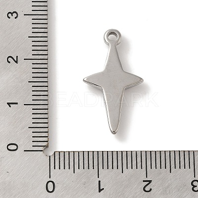 304 Stainless Steel Pendants STAS-C110-02P-1