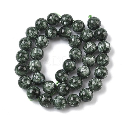 Natural Seraphinite Beads Strands G-C270-O01-11-1