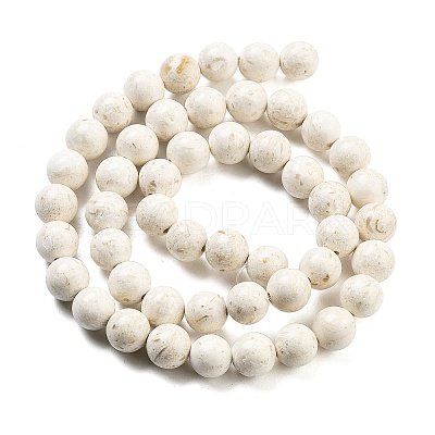 Natural Fossil Beads Strands G-H026-02A-1