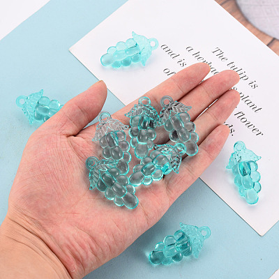 Autumn Theme Transparent Acrylic Beads TACR-S154-60B-946-1