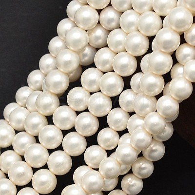 Round Shell Pearl Matte Surface Bead Strands X-BSHE-M011-08-6mm-1
