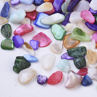 Natural Freshwater Shell Beads SHEL-N003-03-1
