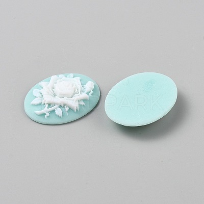 Resin Cabochons LS-CRES-WH0018-02A-1