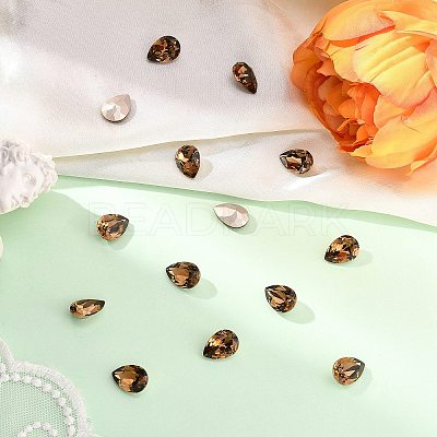 Preciosa® MAXIMA Crystal Fancy Stones X-PRC-FE14-10220-1