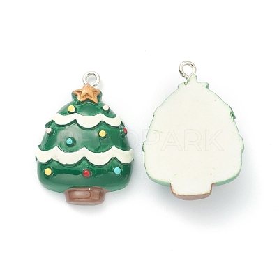 Resin Pendants RESI-O010-15-1
