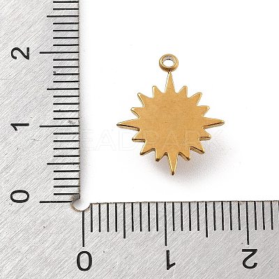 Natural Stone Pendants STAS-D300-02G-06-1