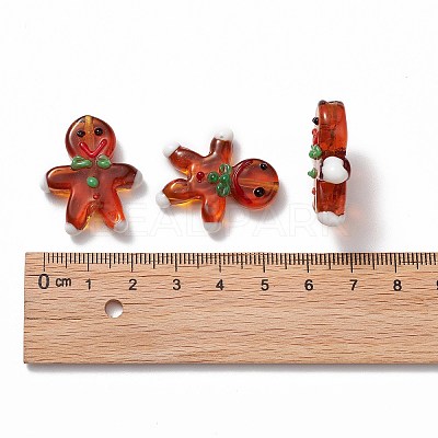 Handmade Lampwork Beads Strands LAMP-N021-025-1