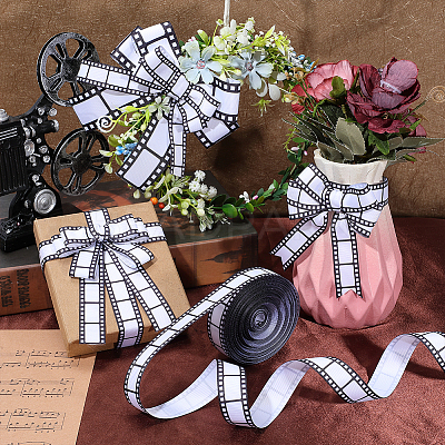 Polyester Ribbons SRIB-WH0011-436B-1