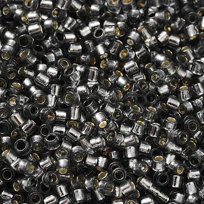 Glass Seed Beads X-SEED-S042-04B-31-1