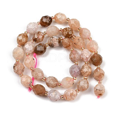 Natural Cherry Blossom Agate Beads Strands G-N342-149I-18-1