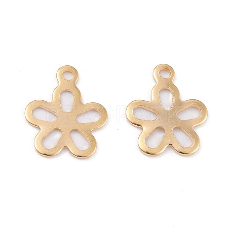 201 Stainless Steel Charms LS-STAS-C017-21G-1