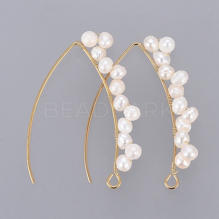 PVD Vacuum Plating 304 Stainless Steel Earring Hooks EJEW-JE03759-1