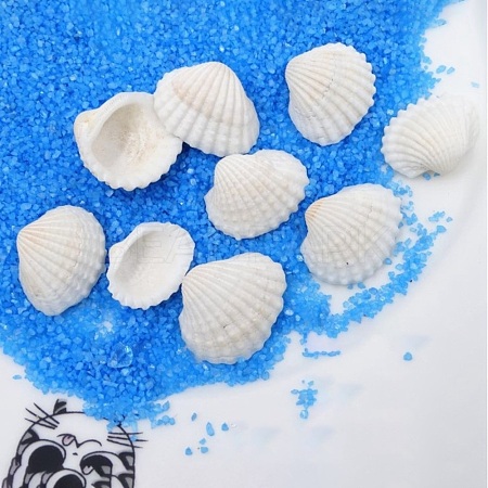 Natural Shell Decorations BSHE-WH0004-03-1