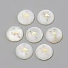 Freshwater Shell Pendants LS-SHEL-Q010-003G-1
