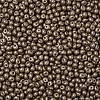 6/0 Glass Seed Beads SEED-L011-08A-09-3