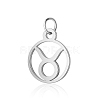 Non-Tarnish 304 Stainless Steel Charms STAS-T036-T513-A2-1