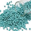 TOHO 8/0 Round Beads SEED-XTR08-0413-1