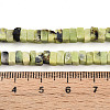 Natural Serpentine Beads Strands G-T140-50-5