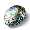Oval Natural Paua Shell Beads SSHEL-E562-01-2