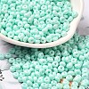 Baking Paint Glass Seed Beads X1-SEED-B001-02A-14-1
