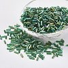 Glass Bugle Beads SEED-E001-9mm-167-1