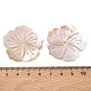 Natural Freshwater Shell Carved Beads SH-CBACA76-07-3