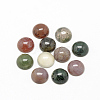 Natural Indian Agate Cabochons X-G-R416-12mm-14-1