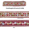 Polyester Embroidery Paillette Ribbon OCOR-WH20003-39D-2