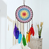 Indian Style Woven Net/Web with Feather Pendant Decoration HJEW-PW0001-042-2