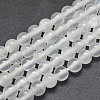 Natural Selenite Beads Strands G-G792-24B-1