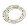 Natural Green Opal Beads Strands G-Z035-A02-01A-3