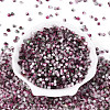 Drawbench Style Glass Seed Beads SEED-Q039-01K-2