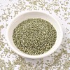 MIYUKI Delica Beads X-SEED-J020-DB1766-2