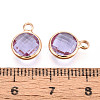 Golden Tone Brass Glass Charms X-GLAA-ZX008-24I-G-3