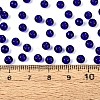 FGB Transparent Glass Seed Beads SEED-N013-01A-03-4