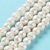 Natural Cultured Freshwater Pearl Beads Strands PEAR-E019-02-2