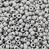 TOHO 6/0 Round Beads SEED-TR06-0053-3
