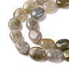 Natural Labradorite Beads Strands G-C238-37-4