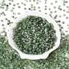 Baking Paint Glass Seed Beads GLAA-T023-43A-1
