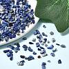 Natural Lapis Lazuli Chip Beads G-L453-05-3