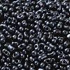 Opaque Glass Seed Beads SEED-K009-06B-06-3