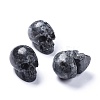 Halloween Natural Larvikite Home Decorations DJEW-K015-03-1