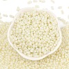 Baking Paint Glass Seed Beads SEED-L011-09A-17-2