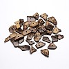 Dyed Chip Coconut Beads COCO-N001-23A-1