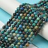 Natural Chrysocolla Beads Strands G-Z034-A03-03-2